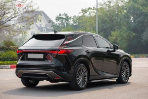 Xe Lexus RX 350 Luxury 2023