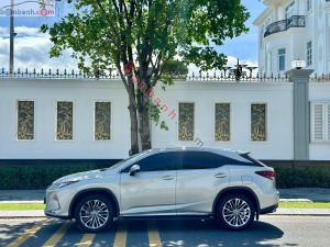 Xe Lexus RX 300 2021