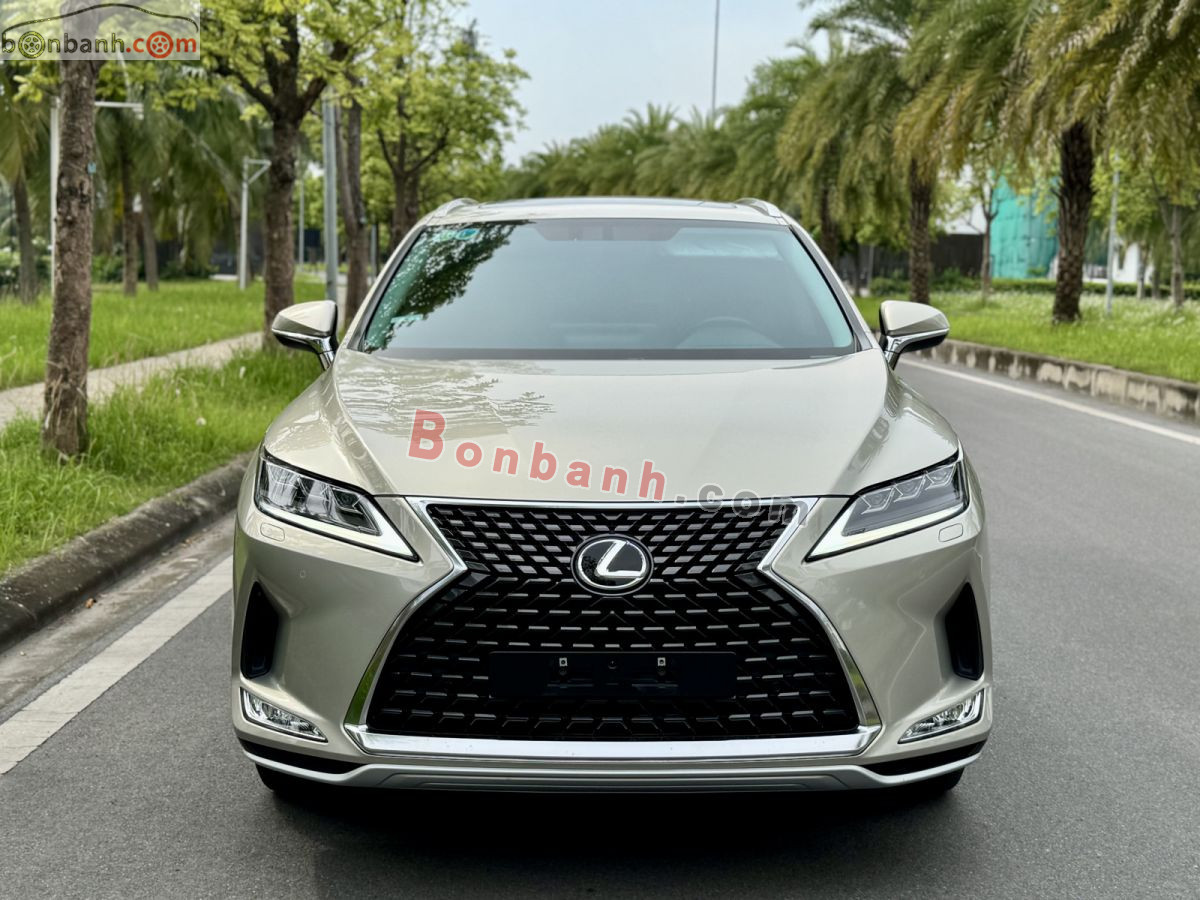 Lexus RX 300 2021