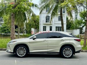 Xe Lexus RX 300 2021