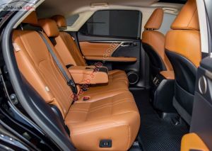 Xe Lexus RX 300 2019
