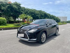 Xe Lexus RX 300 2019