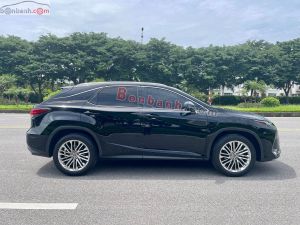 Xe Lexus RX 300 2019