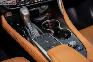 Xe Lexus RX 300 2019