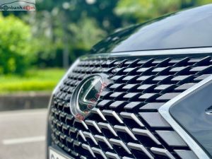 Xe Lexus RX 300 2019