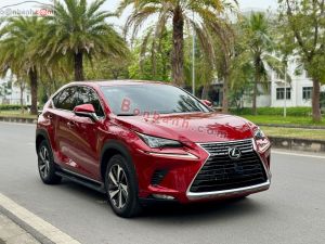 Xe Lexus NX 300 2019