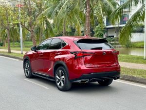 Xe Lexus NX 300 2019