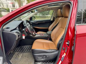 Xe Lexus NX 300 2019