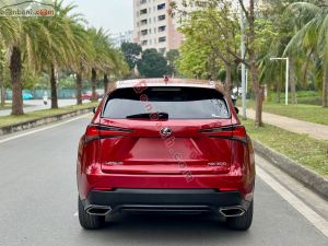 Xe Lexus NX 300 2019