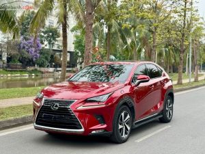 Xe Lexus NX 300 2019