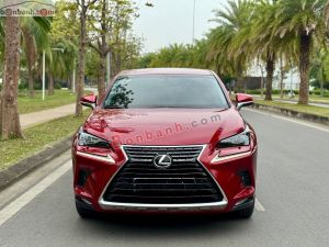 Xe Lexus NX 300 2019