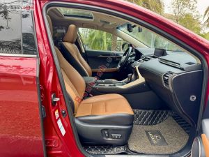 Xe Lexus NX 300 2019