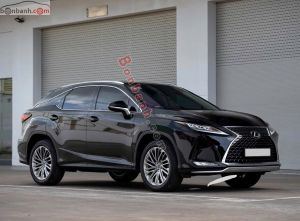 Xe Lexus RX 300 2019