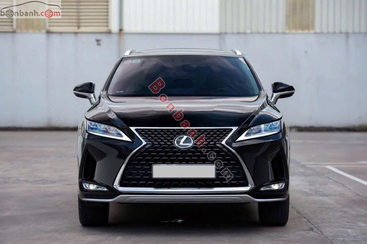 Lexus RX 300 2019