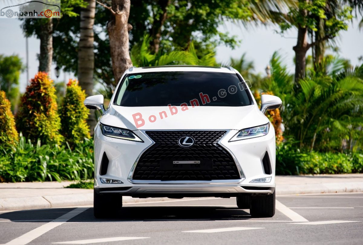 Lexus RX 300 2020
