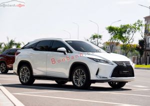 Xe Lexus RX 300 2020