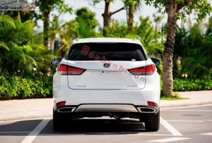 Xe Lexus RX 300 2020