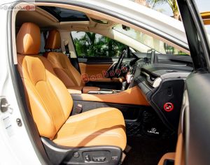 Xe Lexus RX 300 2020