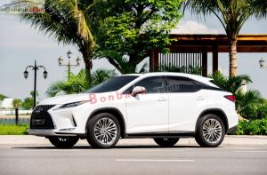 Xe Lexus RX 300 2020