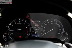 Xe Lexus RX 300 2020