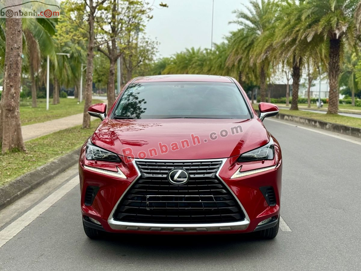 Lexus NX 300 2019